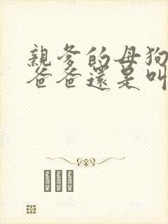 亲爹的母狗是叫爸爸还是叫他