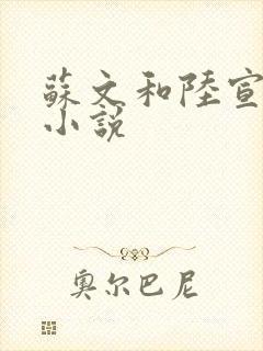 苏文和陆宣仪的小说