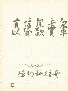 有信用卡欠款可以贷款买车吗