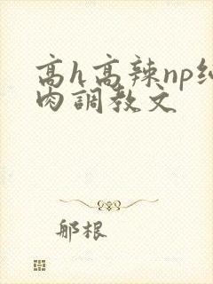 高h高辣np纯肉调教文