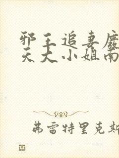 邪王追妻废材逆天大小姐南宫流云