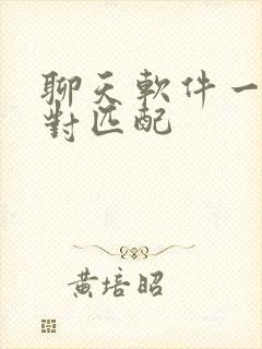 聊天软件一对一对匹配