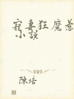 宠妻狂魔惹不得 小说