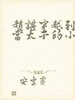 赵谌穿越到宋朝当太子的小说