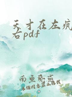 天才在左疯子在右pdf