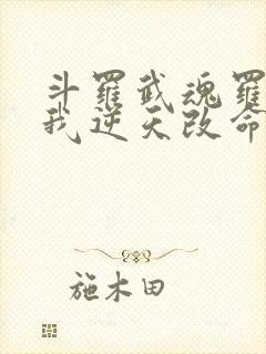 斗罗武魂罗三炮我逆天改命笔趣阁