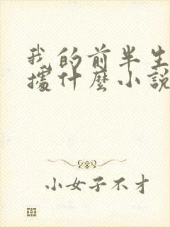 我的前半生是根据什么小说改编的