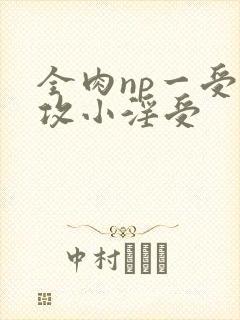 全肉np一受多攻小淫受