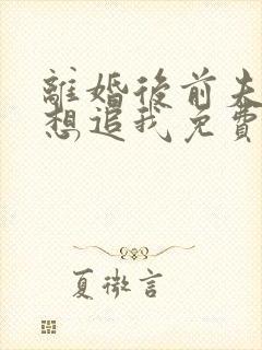 离婚后前夫总是想追我免费阅读小说