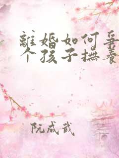 离婚如何争夺两个孩子抚养权