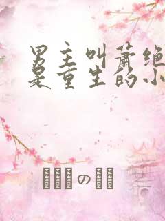 男主叫萧绝女主是重生的小说