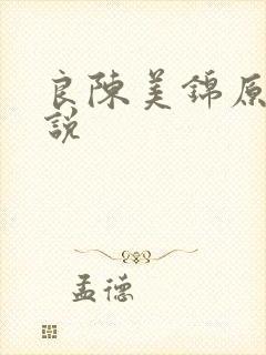 良陈美锦原著小说