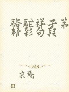 骆驼祥子第七章精彩句段