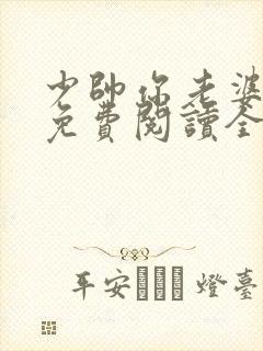 少帅你老婆跑了免费阅读全文