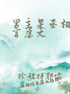 男主是丞相的古言虐文