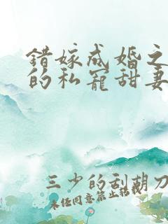 错嫁成婚之总裁的私宠甜妻阅读小说