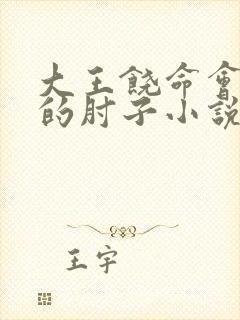 大王饶命会说话的肘子小说正版