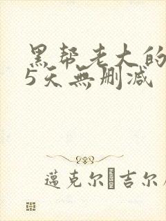 黑帮老大的365天无删减