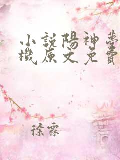 小说阳神梦入神机原文免费阅读