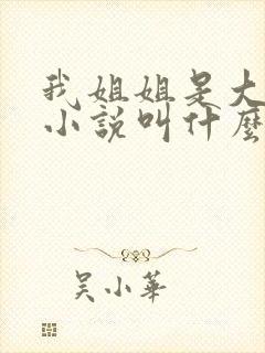 我姐姐是大明星小说叫什么