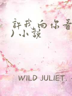 许我向你看(上) 小说