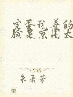 完蛋我养的小白脸是京圈太子爷小说