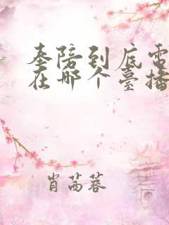 奉陪到底电视剧在哪个台播出