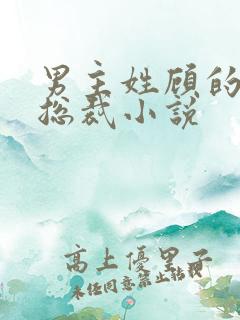 男主姓顾的现代总裁小说