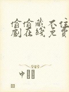 偷偷藏不住电视剧在线免费观看全集