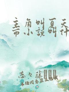 主角叫夏天的都市小说叫什么名字