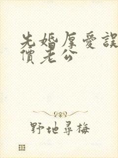 先婚厚爱误嫁天价老公