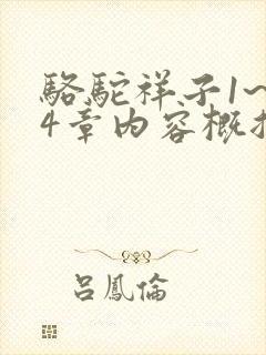 骆驼祥子1~24章内容概括