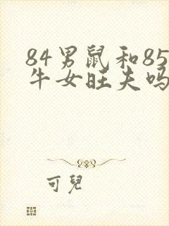 84男鼠和85牛女旺夫吗