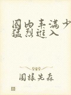 国内丰满少妇被猛烈进入