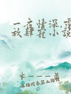 一夜情深,霍少放肆宠小说免费阅读