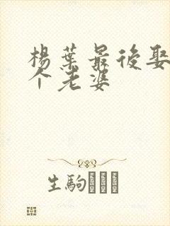 杨叶最后娶了几个老婆