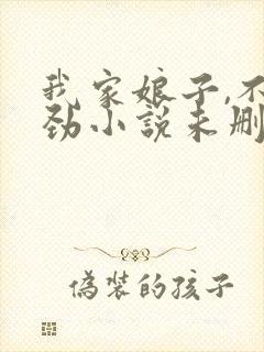 我家娘子,不对劲小说未删版