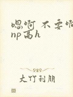 嗯啊 不要啊 np高h
