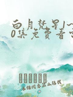 白月梵星1~40集免费看电视剧