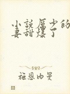 小说厉少的小娇妻甜爆了