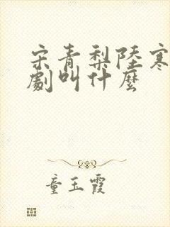 宋青梨陆寒洲短剧叫什么