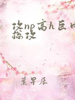攻np高h巨肉总攻