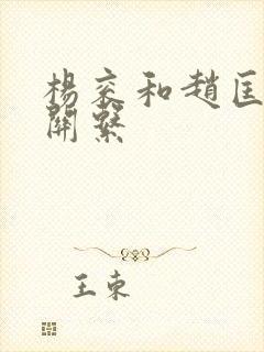 杨衮和赵匡胤的关系