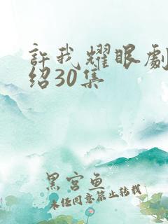 许我耀眼剧情介绍30集