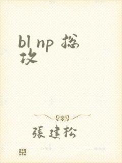 bl np 总攻