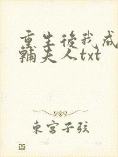 重生后我成了首辅夫人txt