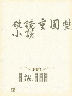 破镜重圆双女主小说