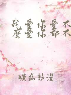 我爱你爱不够怎么爱你都不够是什么歌