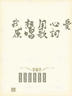 我想用心爱着你原唱歌词