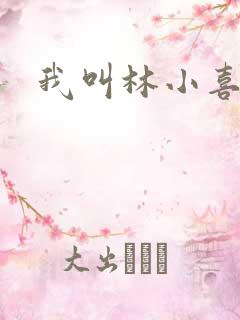 我叫林小喜